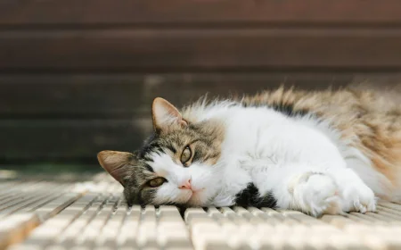 Küçük Grup İran Turları: Sosyal ve Eğlenceli Tatil Deneyimi